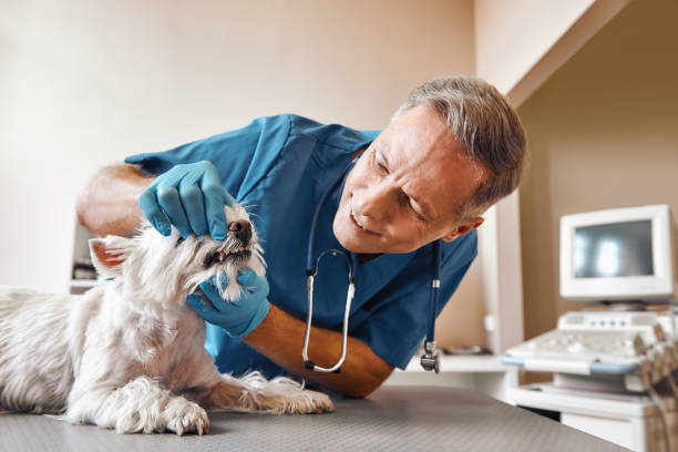 Best Emergency Gum Treatment in Randleman, NC